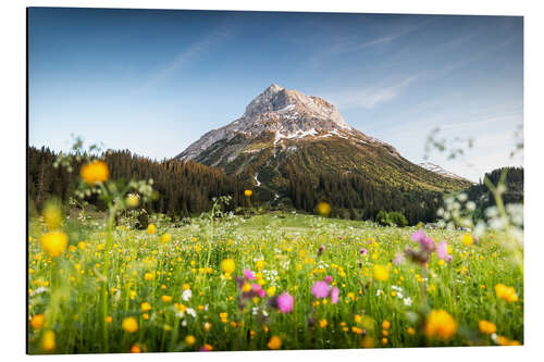 Cuadro de aluminio Omeshorn in Lech with flowers