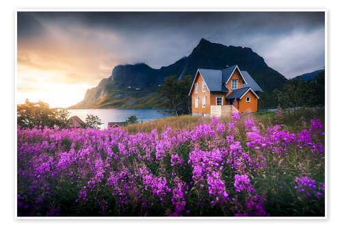 Juliste Orange house in Lofoten during sunrise