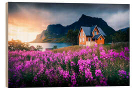 Wood print Orange house in Lofoten during sunrise - Lucas Tiefenthaler