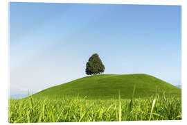 Obraz na szkle akrylowym Single tree in Switzerland - Lucas Tiefenthaler