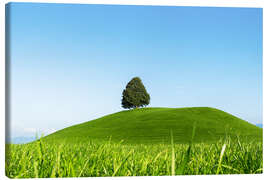 Canvas-taulu Single tree in Switzerland - Lucas Tiefenthaler
