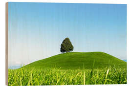 Cuadro de madera Single tree in Switzerland - Lucas Tiefenthaler