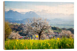 Cuadro de madera Blossoming cherry tree in Fraxern - Lucas Tiefenthaler