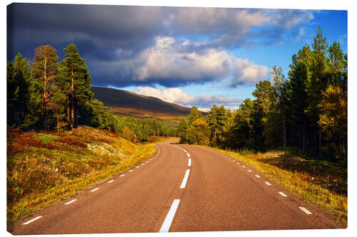 Obraz na płótnie Roadtrip in Lappland
