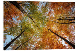 Acrylic print October sky - Dave Derbis