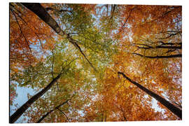 Alubild Oktoberhimmel - Dave Derbis
