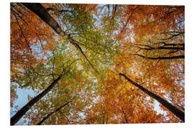 Hartschaumbild Oktoberhimmel