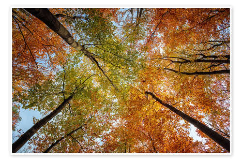 Poster Oktoberhimmel