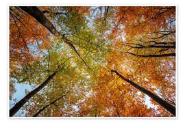 Wandbild Oktoberhimmel - Dave Derbis