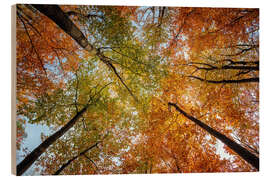 Cuadro de madera October sky - Dave Derbis