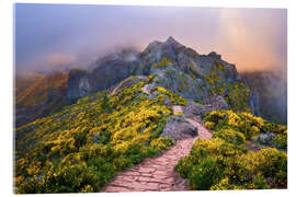 Acrylic print Hiking trail on Pico do Areeiro, Madeira - Dave Derbis