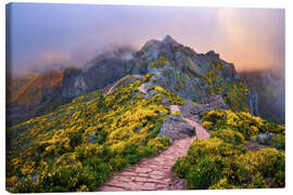Canvas print Hiking trail on Pico do Areeiro, Madeira - Dave Derbis