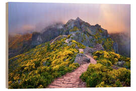 Wood print Hiking trail on Pico do Areeiro, Madeira - Dave Derbis