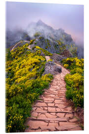 Acrylic print Areeiro Peak - Dave Derbis