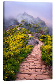 Canvas print Areeiro Peak - Dave Derbis