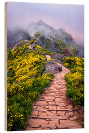 Wood print Areeiro Peak - Dave Derbis