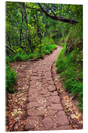Akrylglastavla Hiking in Madeira - Dave Derbis