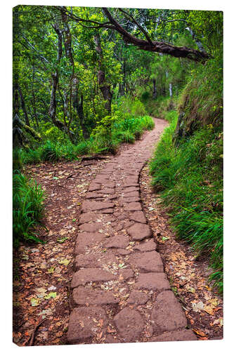 Canvas print Hiking in Madeira