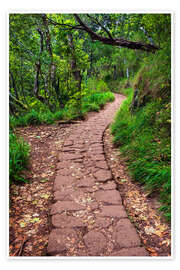 Wandbild Wandern in Madeira - Dave Derbis