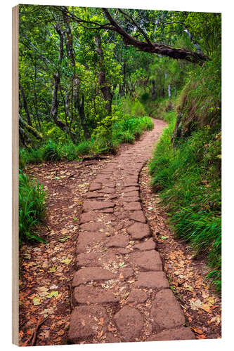 Wood print Hiking in Madeira