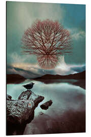 Stampa su alluminio Floating in Vain - Mark Scheper