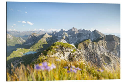 Cuadro de aluminio View from the Omeshorn