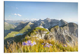 Cuadro de aluminio View from the Omeshorn - Lucas Tiefenthaler
