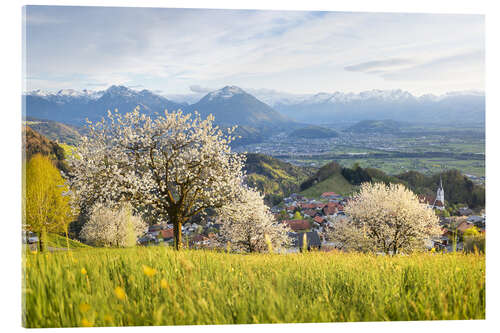 Akryylilasitaulu Cherry blossom in the mountains, Fraxern