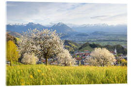 Akryylilasitaulu Cherry blossom in the mountains, Fraxern - Lucas Tiefenthaler