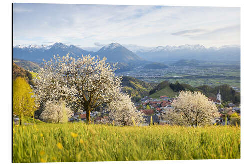 Alubild Kirschblüte in den Bergen, Fraxern