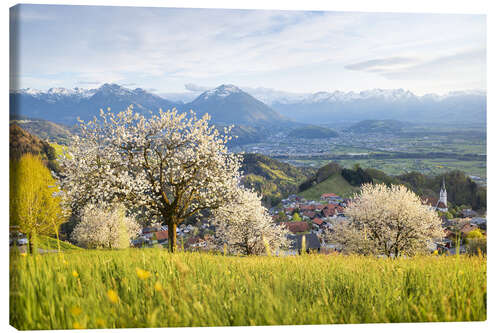 Canvas print Cherry blossom in the mountains, Fraxern