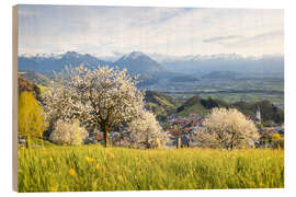 Cuadro de madera Cherry blossom in the mountains, Fraxern - Lucas Tiefenthaler