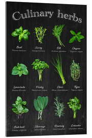 Acrylic print Culinary herbs - Thomas Klee