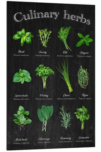 Stampa su alluminio Culinary herbs
