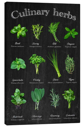 Lienzo Culinary herbs