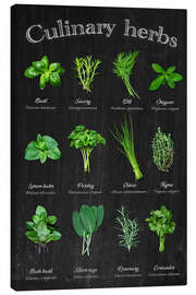 Lienzo Culinary herbs - Thomas Klee