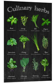 Hartschaumbild Culinary herbs - Thomas Klee