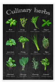 Kunstwerk Culinary herbs - Thomas Klee