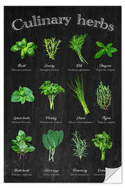 Wall sticker Culinary herbs - Thomas Klee