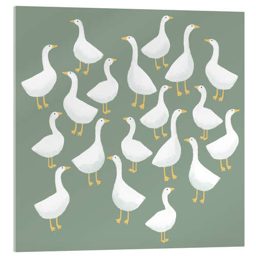 Acrylglasbild Weißer Gänse auf grünem Gras