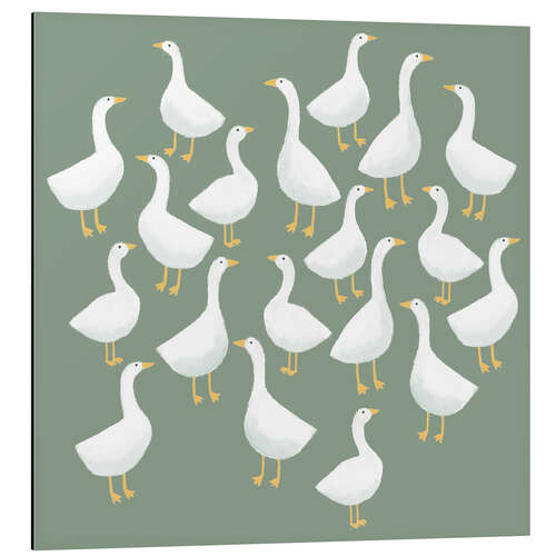 Cuadro de aluminio Flock of White Geese on Green Grass