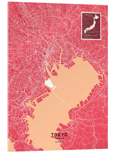 Stampa su vetro acrilico Tokyo, Japan