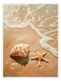 Taulu Shell and starfish - Jörg Gamroth