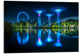 Acrylglasbild Gärten an der Bucht, Singapur - Lucas Tiefenthaler