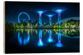 Holzbild Gärten an der Bucht, Singapur - Lucas Tiefenthaler
