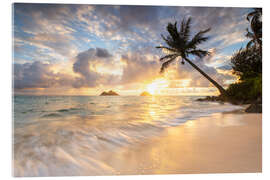 Acrylic print Sunrise Lanikai Beach with palm tree in Oahu Hawaii - Lucas Tiefenthaler