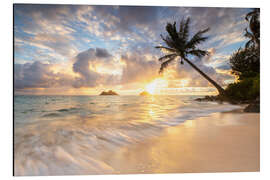 Alubild Sonnenaufgang Lanikai Strand mit Palme in Oahu Hawaii - Lucas Tiefenthaler