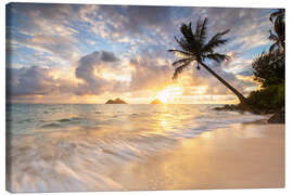 Lienzo Sunrise Lanikai Beach with palm tree in Oahu Hawaii - Lucas Tiefenthaler