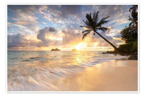 Poster Sonnenaufgang Lanikai Strand mit Palme in Oahu Hawaii