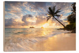 Cuadro de madera Sunrise Lanikai Beach with palm tree in Oahu Hawaii - Lucas Tiefenthaler